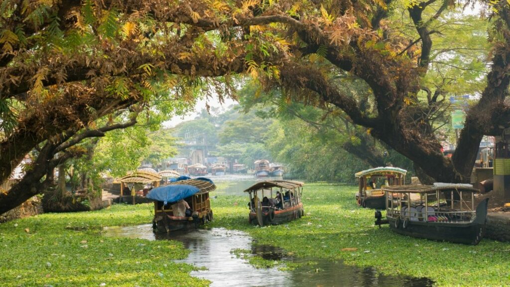 Traditionelles südindisches Shikara-Boot gleitet durch die ruhigen Backwaters von Alleppey bei Sonnenuntergang, umgeben von üppiger grüner Vegetation